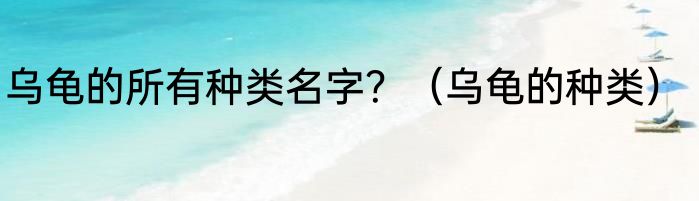 乌龟的所有种类名字？（乌龟的种类）