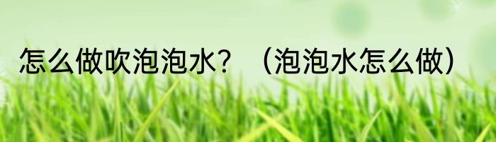 怎么做吹泡泡水？（泡泡水怎么做）