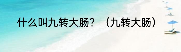 什么叫九转大肠？（九转大肠）