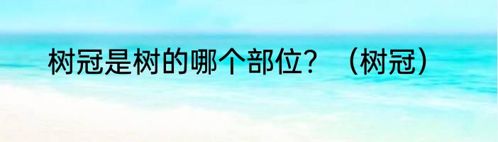 树冠是树的哪个部位？（树冠）