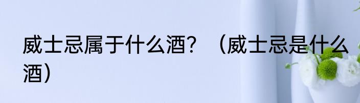 威士忌属于什么酒？（威士忌是什么酒）