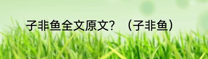 子非鱼全文原文？（子非鱼）
