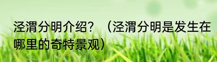泾渭分明介绍？（泾渭分明是发生在哪里的奇特景观）