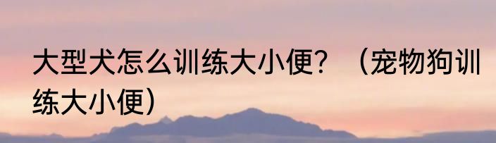 大型犬怎么训练大小便？（宠物狗训练大小便）