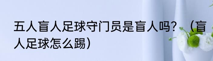 五人盲人足球守门员是盲人吗？（盲人足球怎么踢）