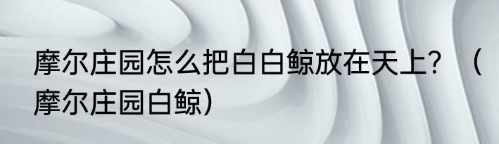 摩尔庄园怎么把白白鲸放在天上？（摩尔庄园白鲸）