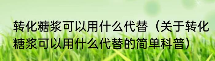 转化糖浆可以用什么代替（关于转化糖浆可以用什么代替的简单科普）