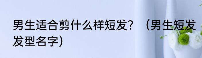 男生适合剪什么样短发？（男生短发发型名字）