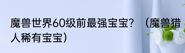 魔兽世界60级前最强宝宝？（魔兽猎人稀有宝宝）