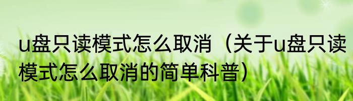 u盘只读模式怎么取消（关于u盘只读模式怎么取消的简单科普）