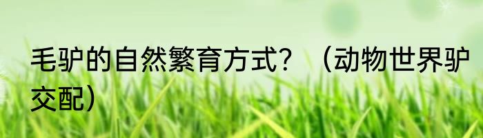 毛驴的自然繁育方式？（动物世界驴交配）