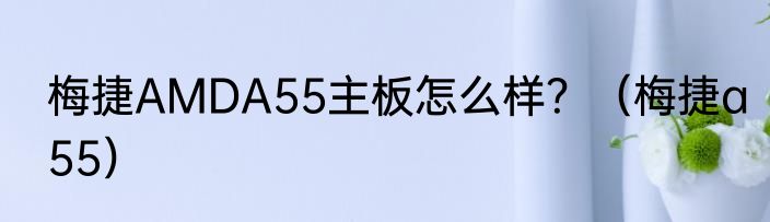 梅捷AMDA55主板怎么样？（梅捷a55）