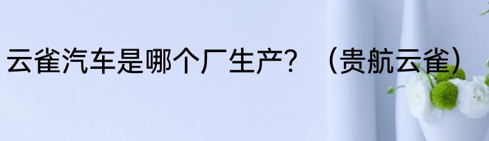 云雀汽车是哪个厂生产？（贵航云雀）