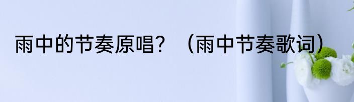 雨中的节奏原唱？（雨中节奏歌词）