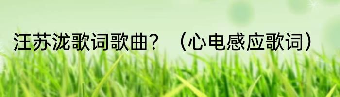 汪苏泷歌词歌曲？（心电感应歌词）