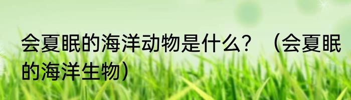 会夏眠的海洋动物是什么？（会夏眠的海洋生物）