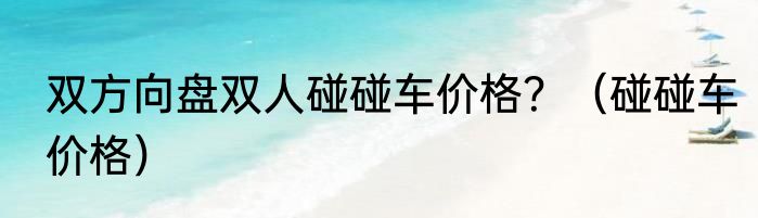 双方向盘双人碰碰车价格？（碰碰车价格）