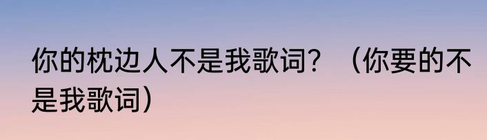 你的枕边人不是我歌词？（你要的不是我歌词）