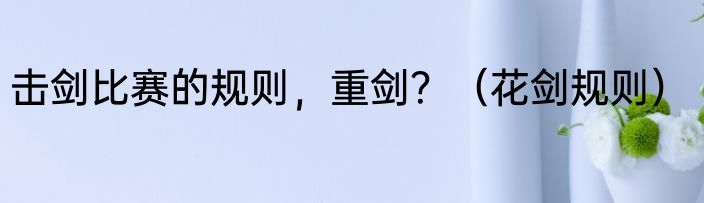 击剑比赛的规则，重剑？（花剑规则）