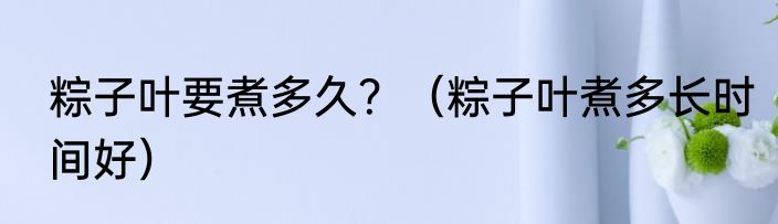粽子叶要煮多久？（粽子叶煮多长时间好）