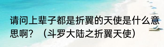 请问上辈子都是折翼的天使是什么意思啊？（斗罗大陆之折翼天使）