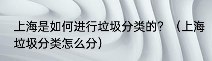 上海是如何进行垃圾分类的？（上海垃圾分类怎么分）