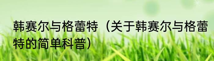 韩赛尔与格蕾特（关于韩赛尔与格蕾特的简单科普）