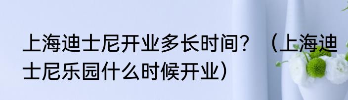 上海迪士尼开业多长时间？（上海迪士尼乐园什么时候开业）