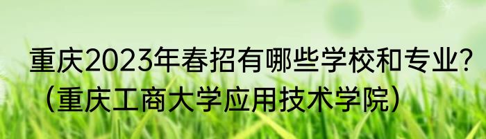 重庆2023年春招有哪些学校和专业？（重庆工商大学应用技术学院）