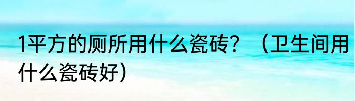 1平方的厕所用什么瓷砖？（卫生间用什么瓷砖好）