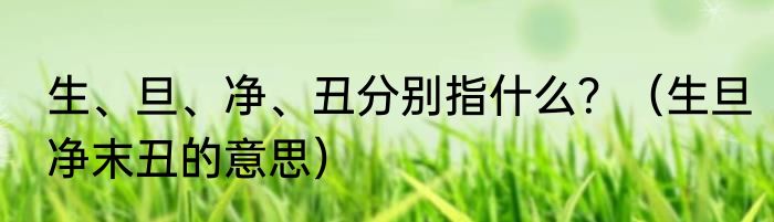 生、旦、净、丑分别指什么？（生旦净末丑的意思）