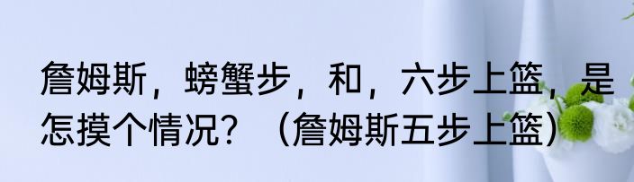 詹姆斯，螃蟹步，和，六步上篮，是怎摸个情况？（詹姆斯五步上篮）