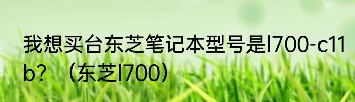 我想买台东芝笔记本型号是l700-c11b？（东芝l700）