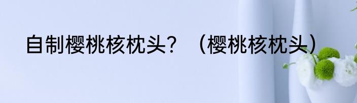 自制樱桃核枕头？（樱桃核枕头）