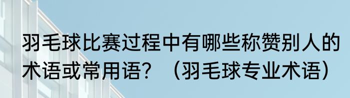 羽毛球比赛过程中有哪些称赞别人的术语或常用语？（羽毛球专业术语）