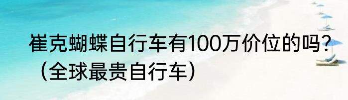 崔克蝴蝶自行车有100万价位的吗？（全球最贵自行车）