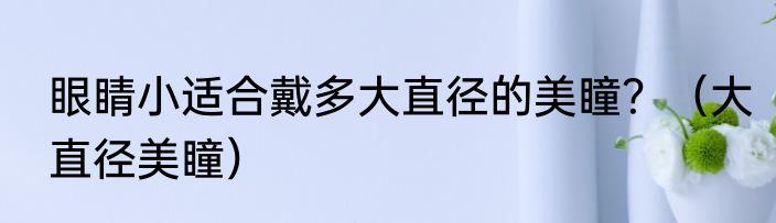 眼睛小适合戴多大直径的美瞳？（大直径美瞳）