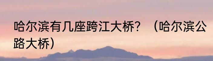 哈尔滨有几座跨江大桥？（哈尔滨公路大桥）