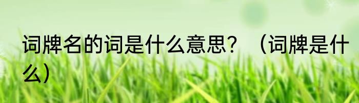 词牌名的词是什么意思？（词牌是什么）