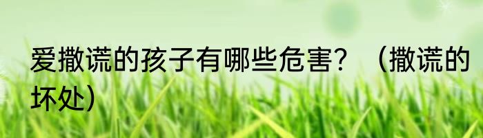 爱撒谎的孩子有哪些危害？（撒谎的坏处）