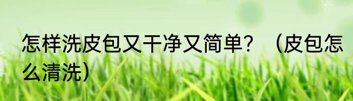 怎样洗皮包又干净又简单？（皮包怎么清洗）