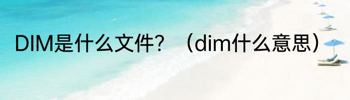 DIM是什么文件？（dim什么意思）