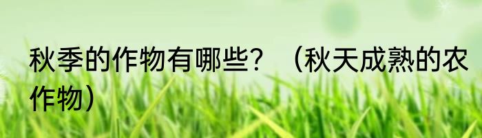 秋季的作物有哪些？（秋天成熟的农作物）