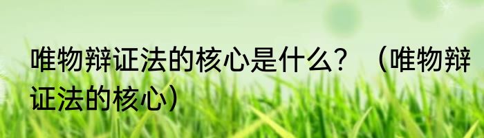 唯物辩证法的核心是什么？（唯物辩证法的核心）