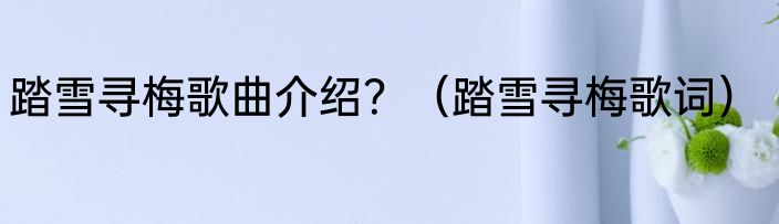 踏雪寻梅歌曲介绍？（踏雪寻梅歌词）