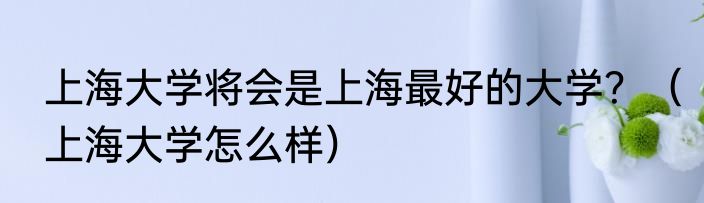 上海大学将会是上海最好的大学？（上海大学怎么样）