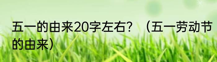 五一的由来20字左右？（五一劳动节的由来）