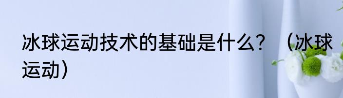 冰球运动技术的基础是什么？（冰球运动）
