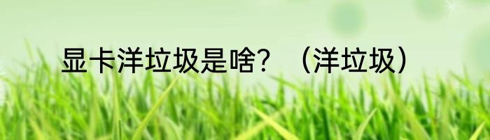 显卡洋垃圾是啥？（洋垃圾）