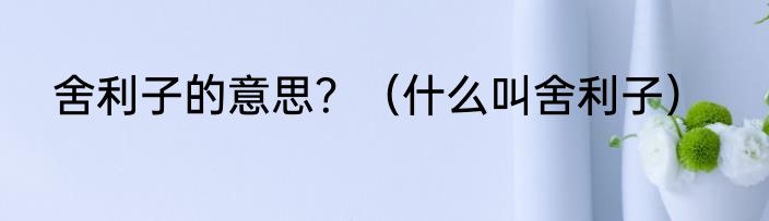 舍利子的意思？（什么叫舍利子）